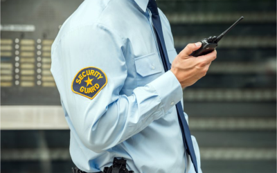 La Importancia de la Seguridad Física en Empresas: Protegiendo lo más Valioso